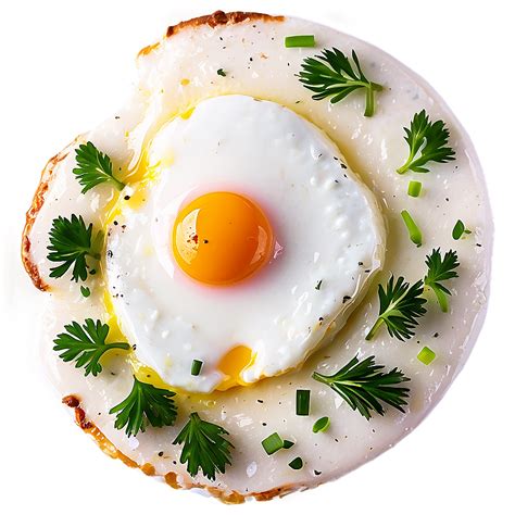 eggjlp|egg .